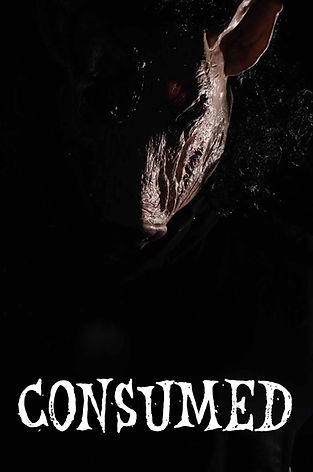 A picture of man in the dark wearing a coat in a pig mask